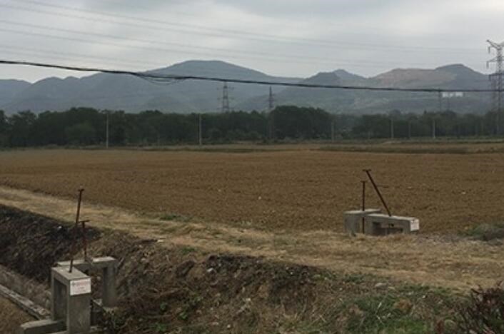 中藥材行業為什么會迎來種植熱潮？